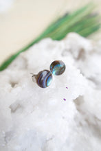 Load image into Gallery viewer, Hypoallergenic abalone earrings on surgical steel posts