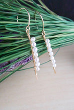 Load image into Gallery viewer, Vertical Freshwater Pearl Bar Earrings - Gold fill