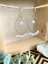 Load image into Gallery viewer, Pearl Drop Hoops - 14k Gold filled